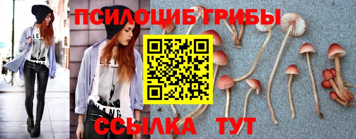 Елец  Галлюциногенные грибы Magic Shrooms  Вход с VPN 